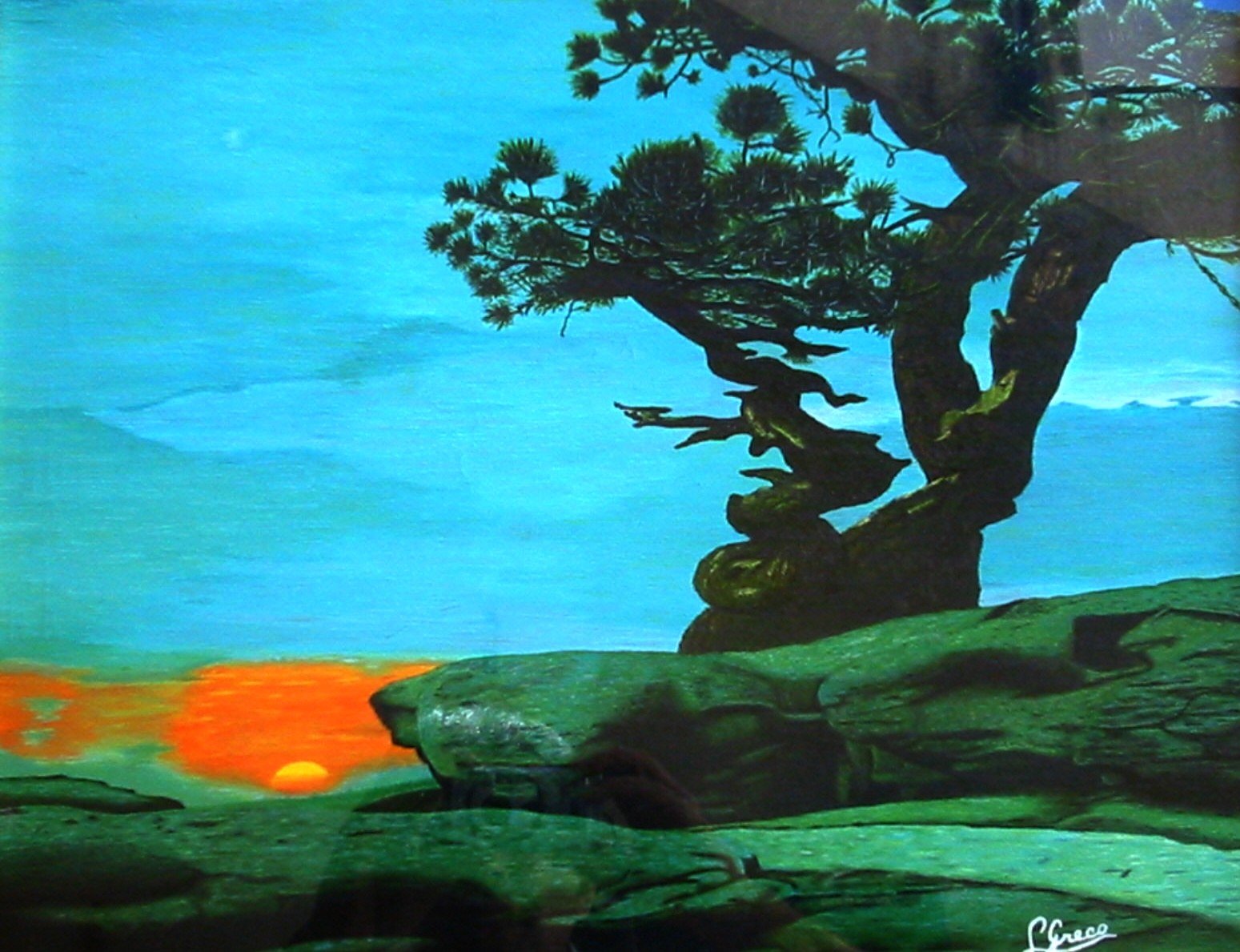 Alba nell arida terra