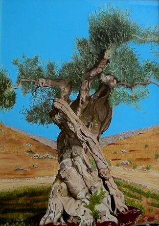 L'ulivo