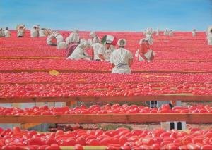 Pomodori